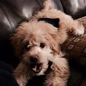 Meet your Posher, Mina kaye